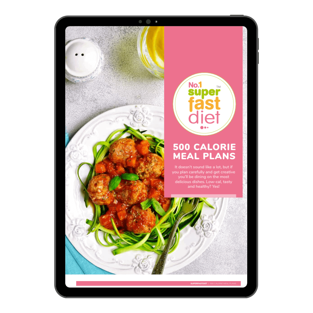 500 Cal Day Meal Plan